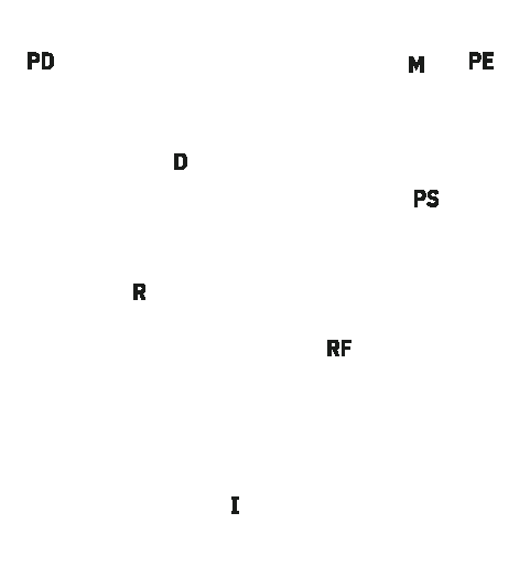 V Flow, Buchstaben PD, D, R, I, RF, M, PS, PE